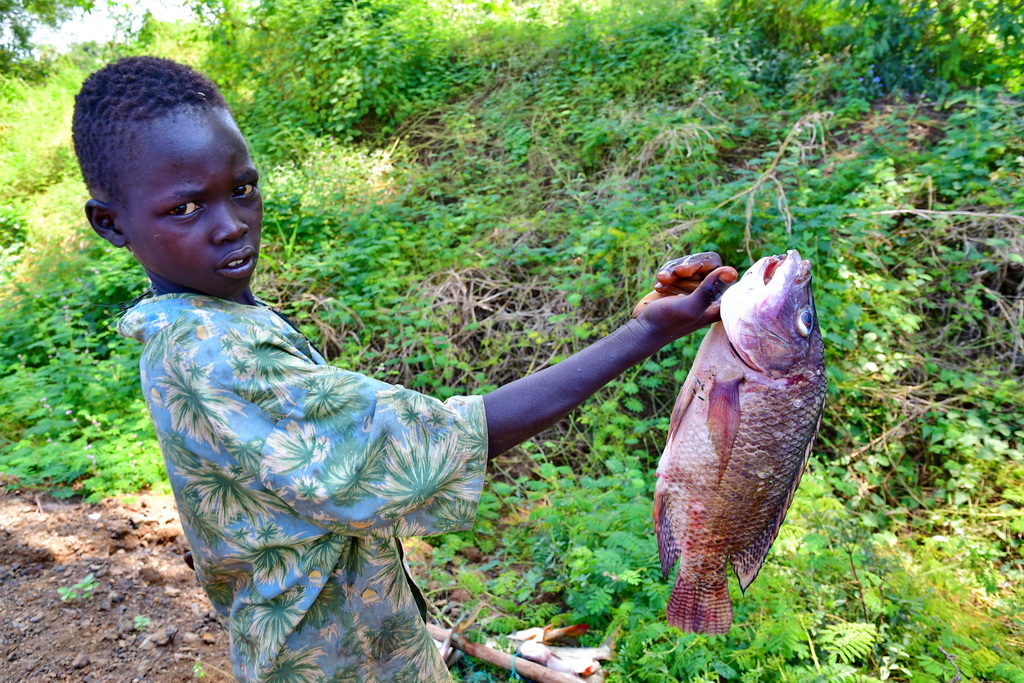 Anuak villages (Gambela)